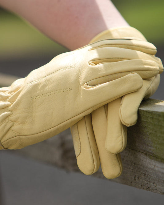 Junior Leather Show Gloves, ridhandskar skinn junior