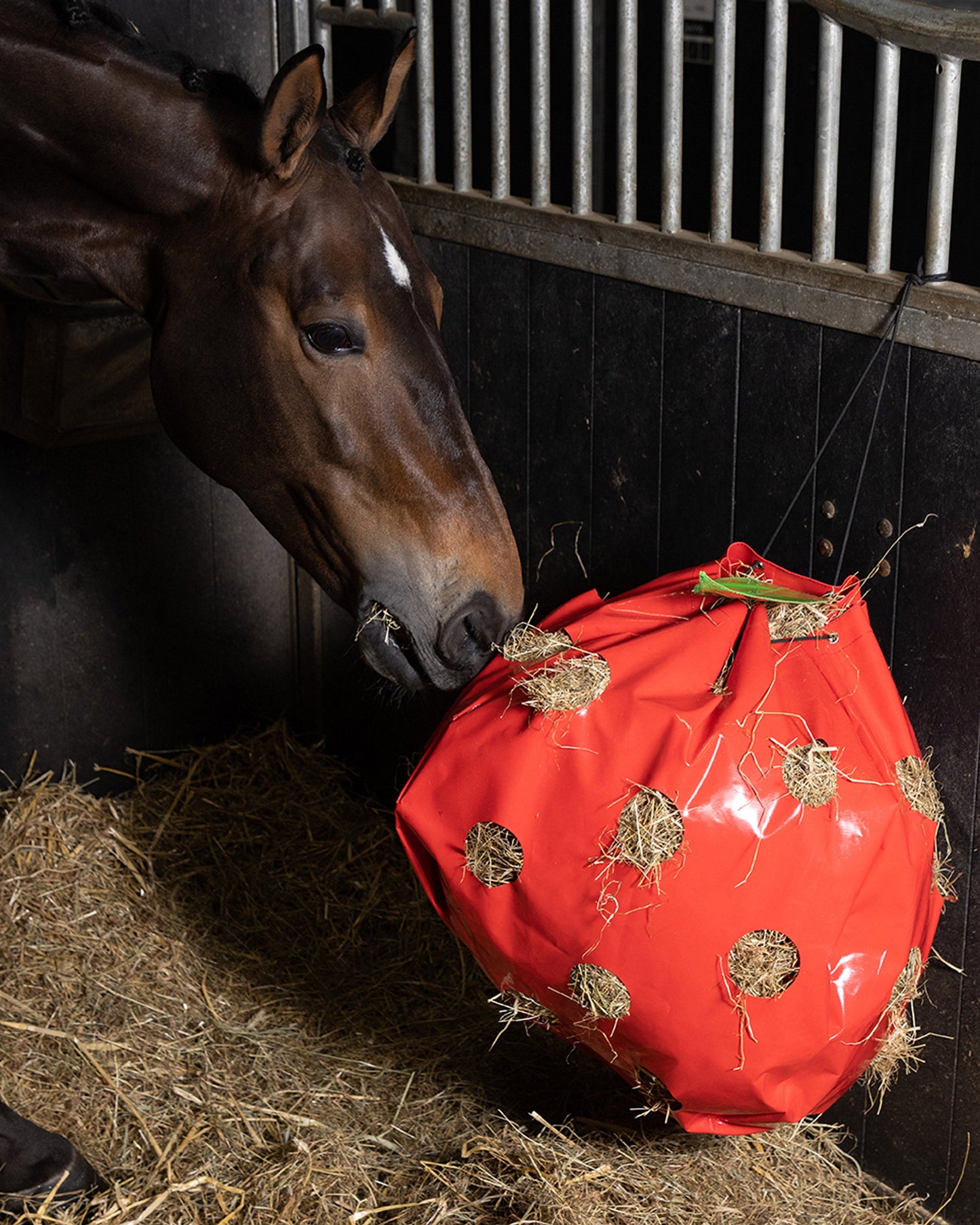 Hay Fun Apple, hönät format som ett äpple