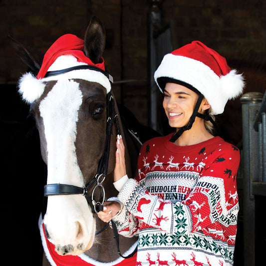 Santas Horse Hat, tomteluva för häst