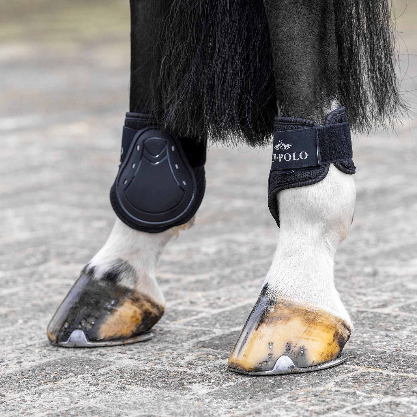 HV Polo Tendon and Fetlock Bootset Classic, set med benskydd