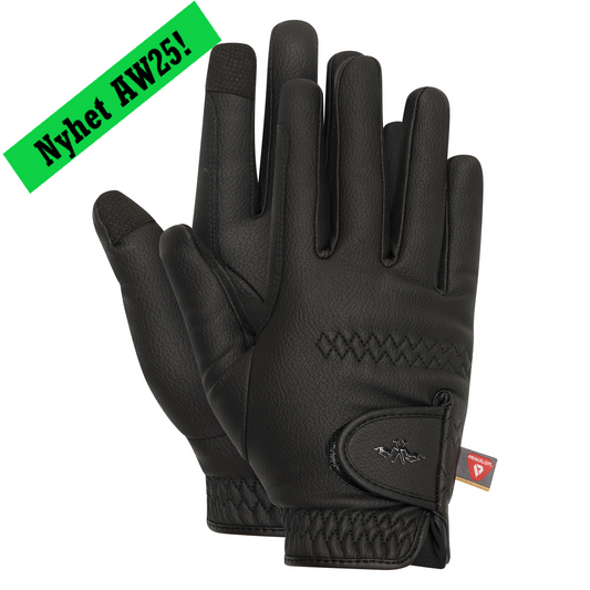 Gloves Winter, fodrade smartphone vänliga vinterridhandskar, flera färger