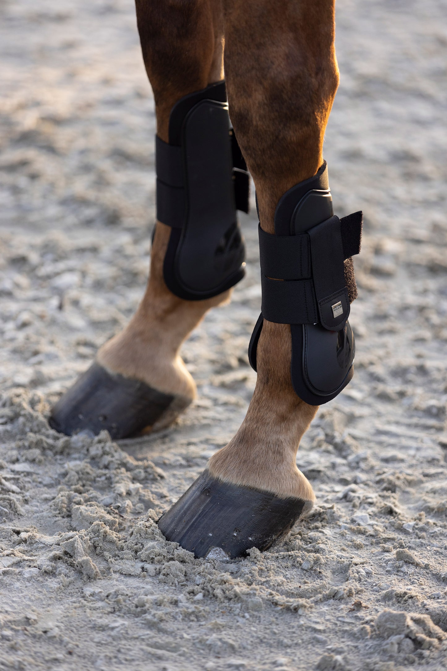 Imperial Riding Tendon Boots Lovely, prisvärda senskydd
