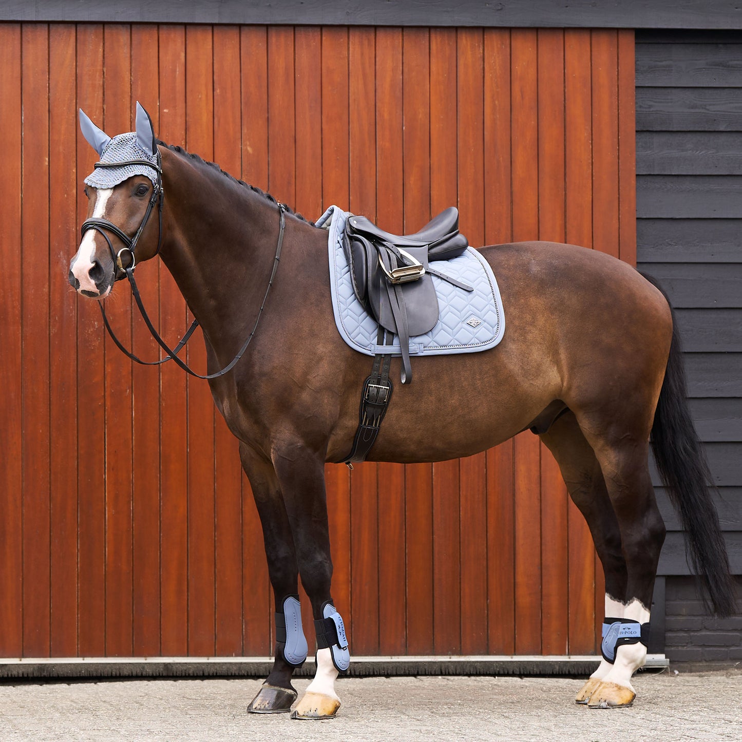 Saddlepad Classic DR, quiltat dressyrschabrak
