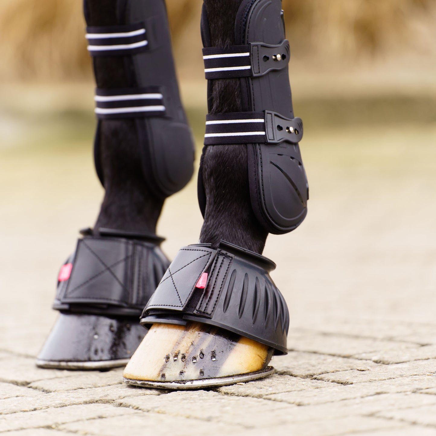 Imperial Riding Bellboots Bells, klassiska boots