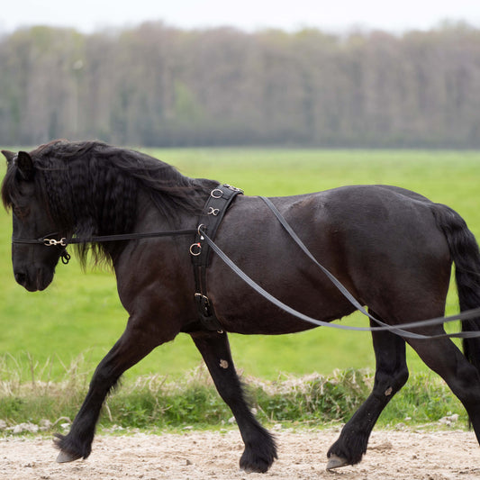 Imperial Riding Long Reins Free Ride, set om två longerlinor
