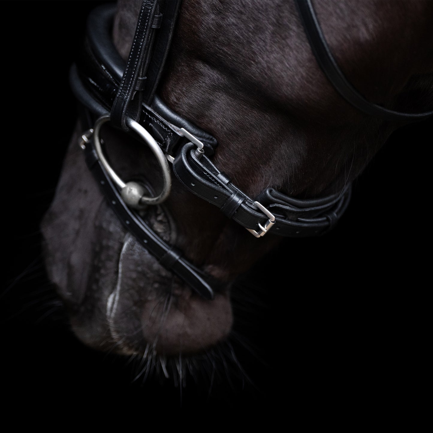 Bridle Diana, pannband med strass