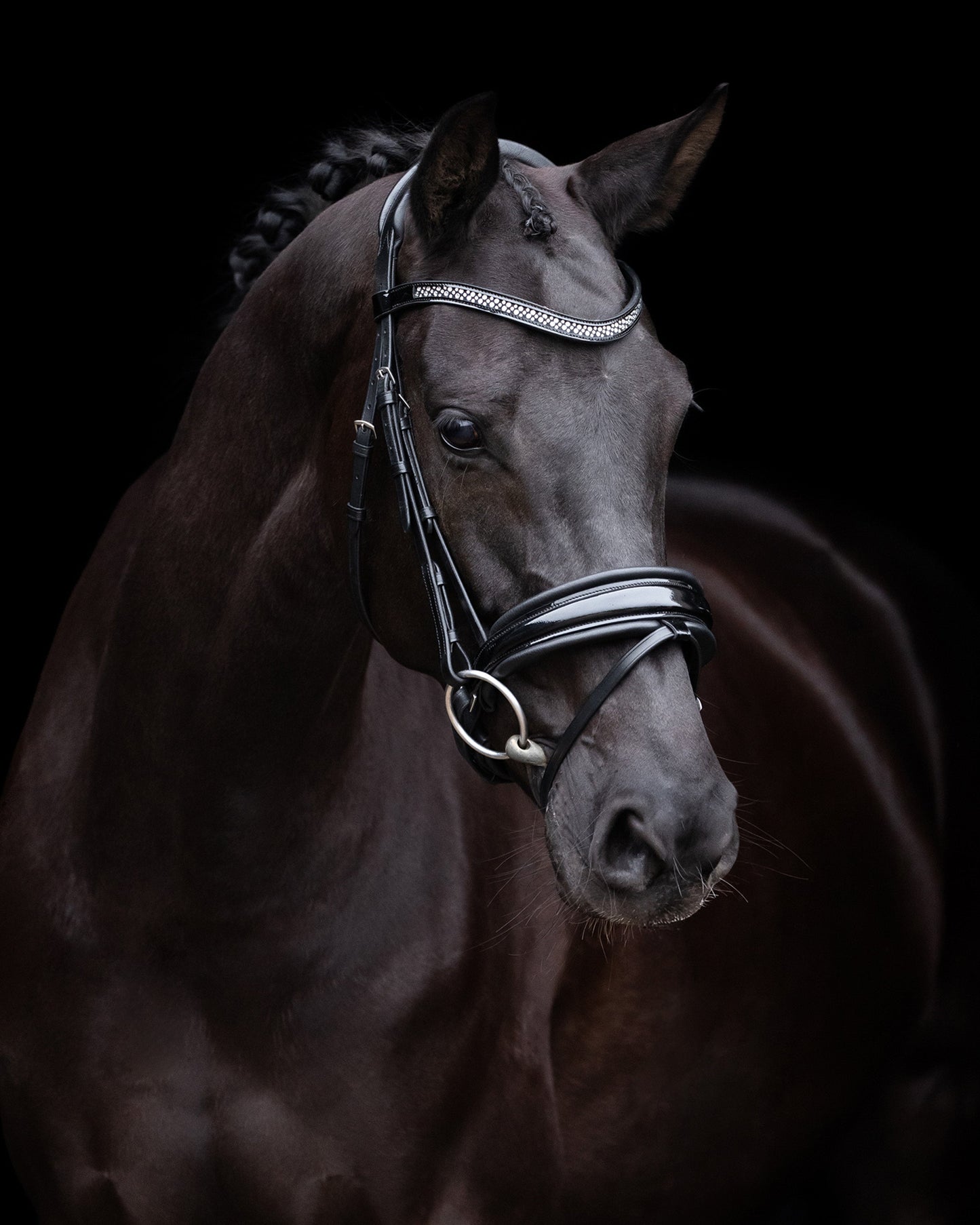 Bridle Diana, pannband med strass