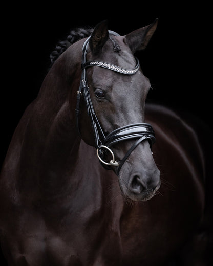 Bridle Diana, pannband med strass