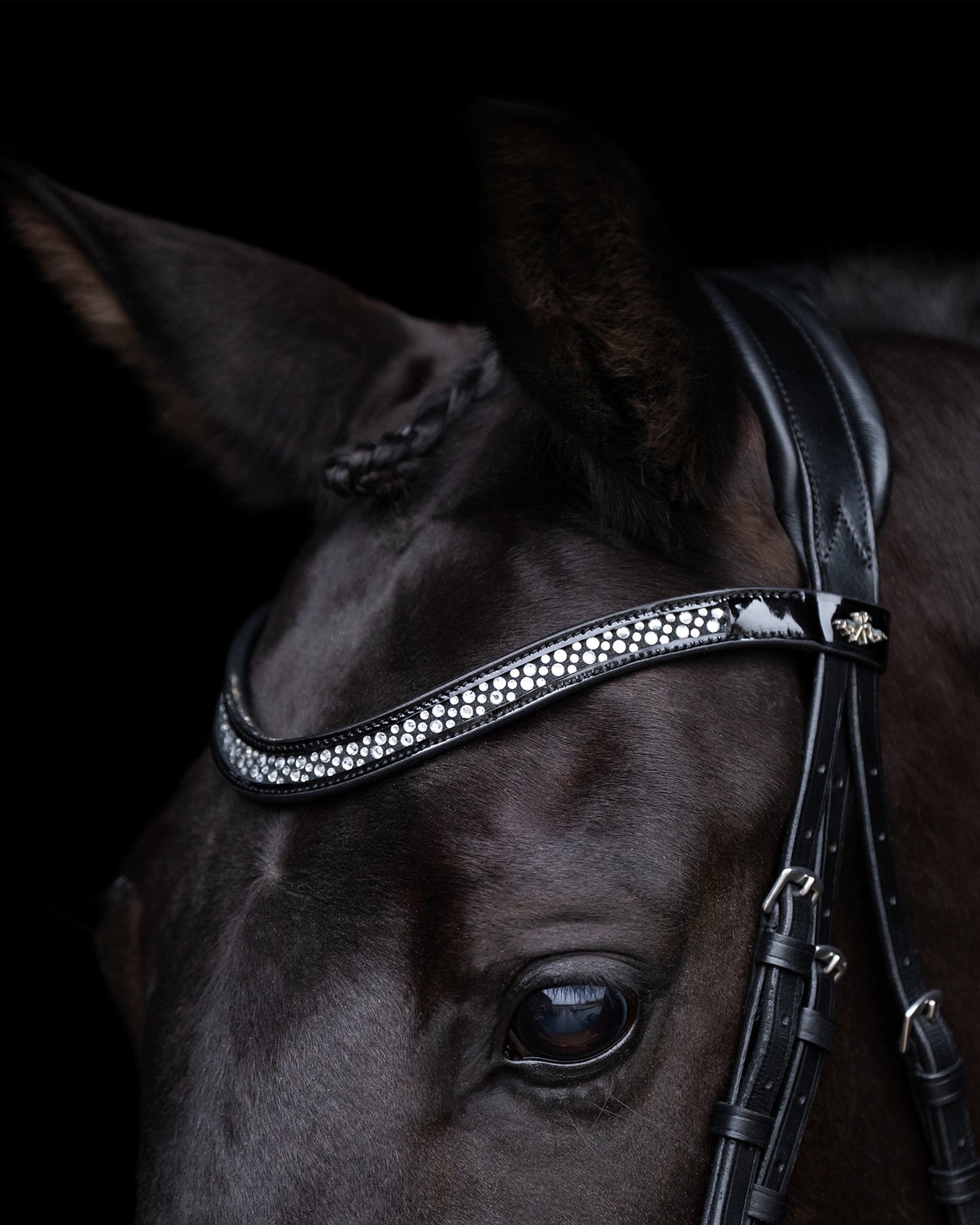 Bridle Diana, pannband med strass