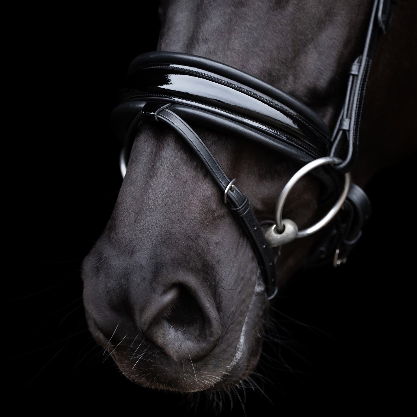 Bridle Diana, pannband med strass