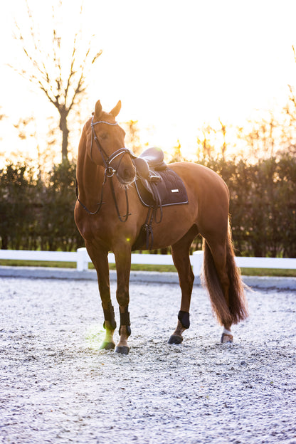 Imperial Riding Tendon Boots Lovely, prisvärda senskydd