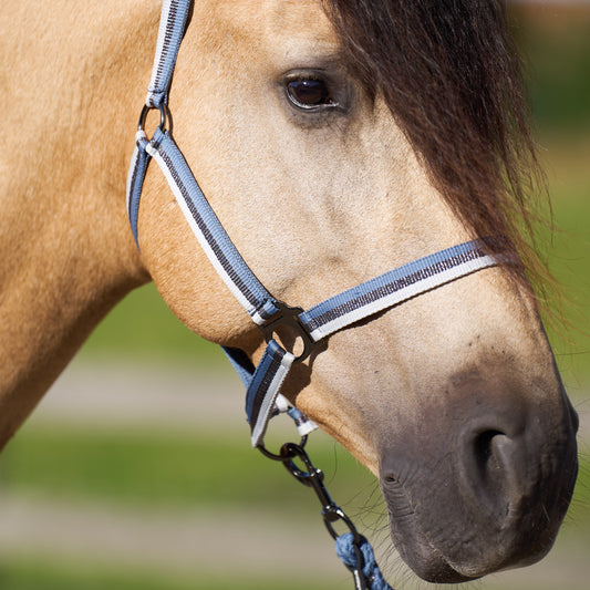 Imperial Riding Headcollar Economic, prisvärd nylongrimma i många färger