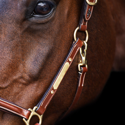 Headcollar Legacy, snygg lädergrimma med möjlighet att gravera, flera färger
