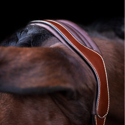 Headcollar Legacy, snygg lädergrimma med möjlighet att gravera, flera färger