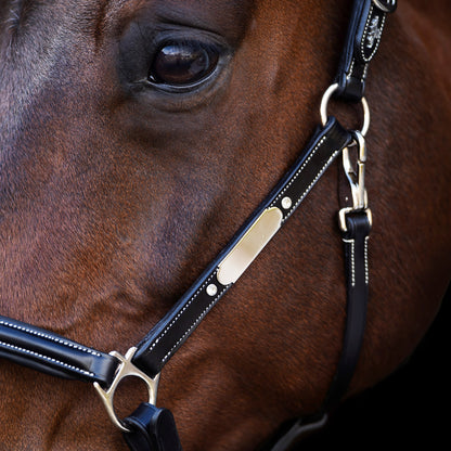 Headcollar Legacy, snygg lädergrimma med möjlighet att gravera, flera färger