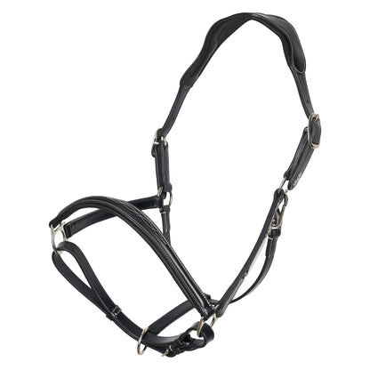 Headcollar Legacy, snygg lädergrimma med möjlighet att gravera, flera färger