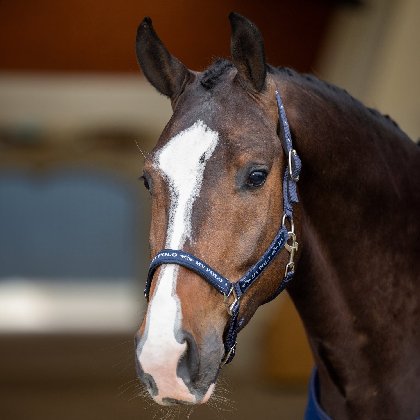 Headcollar Nena, klassisk grimma, flera färger