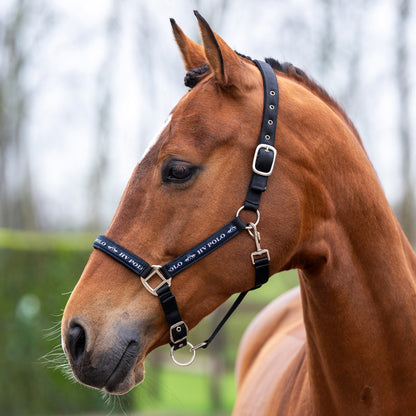 Headcollar Nena, klassisk grimma, flera färger