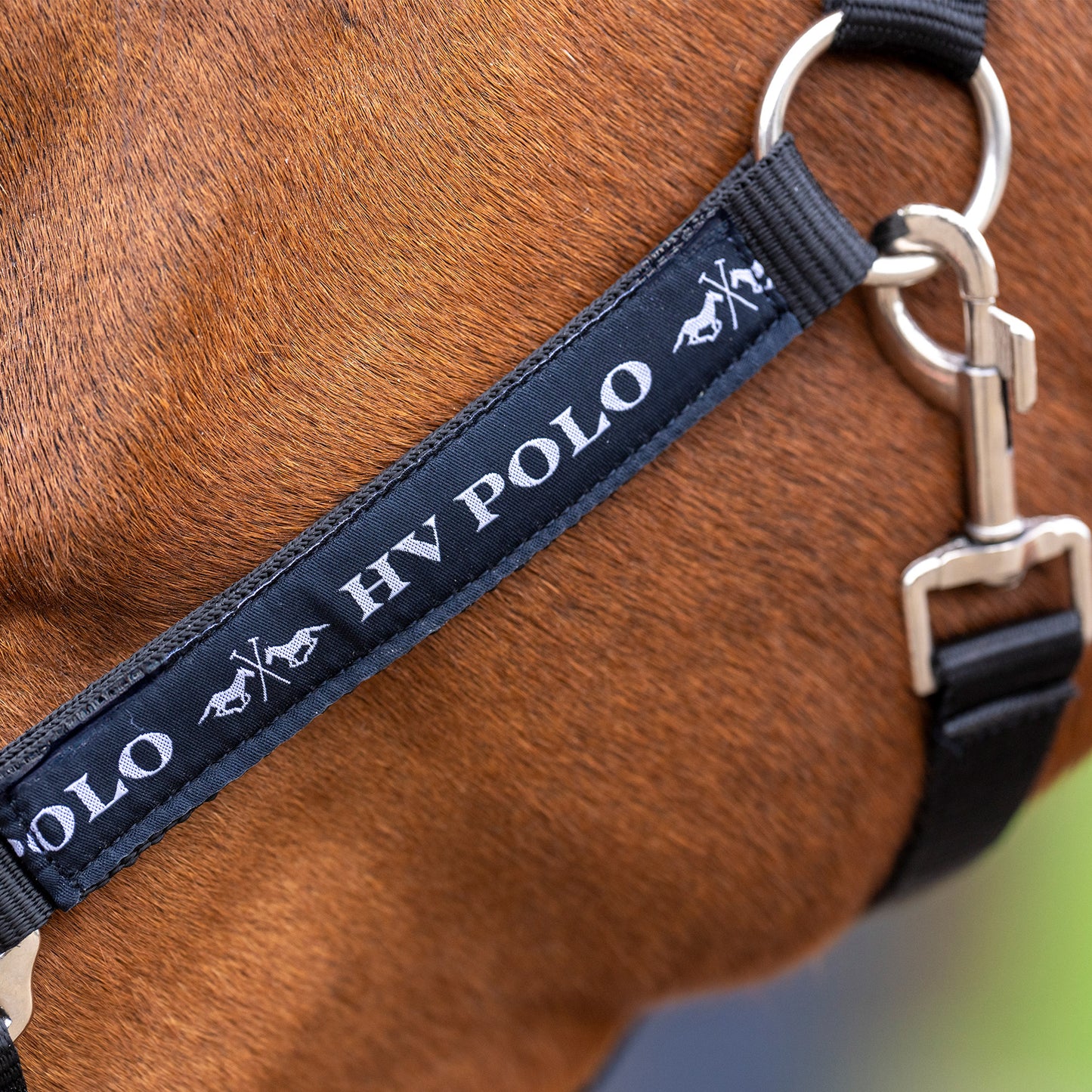 Headcollar Nena, klassisk grimma, flera färger