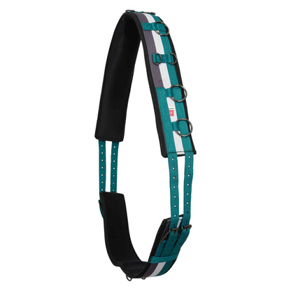 Imperial Riding Lunging Girth Nylon, vadderad longergjord utg färg