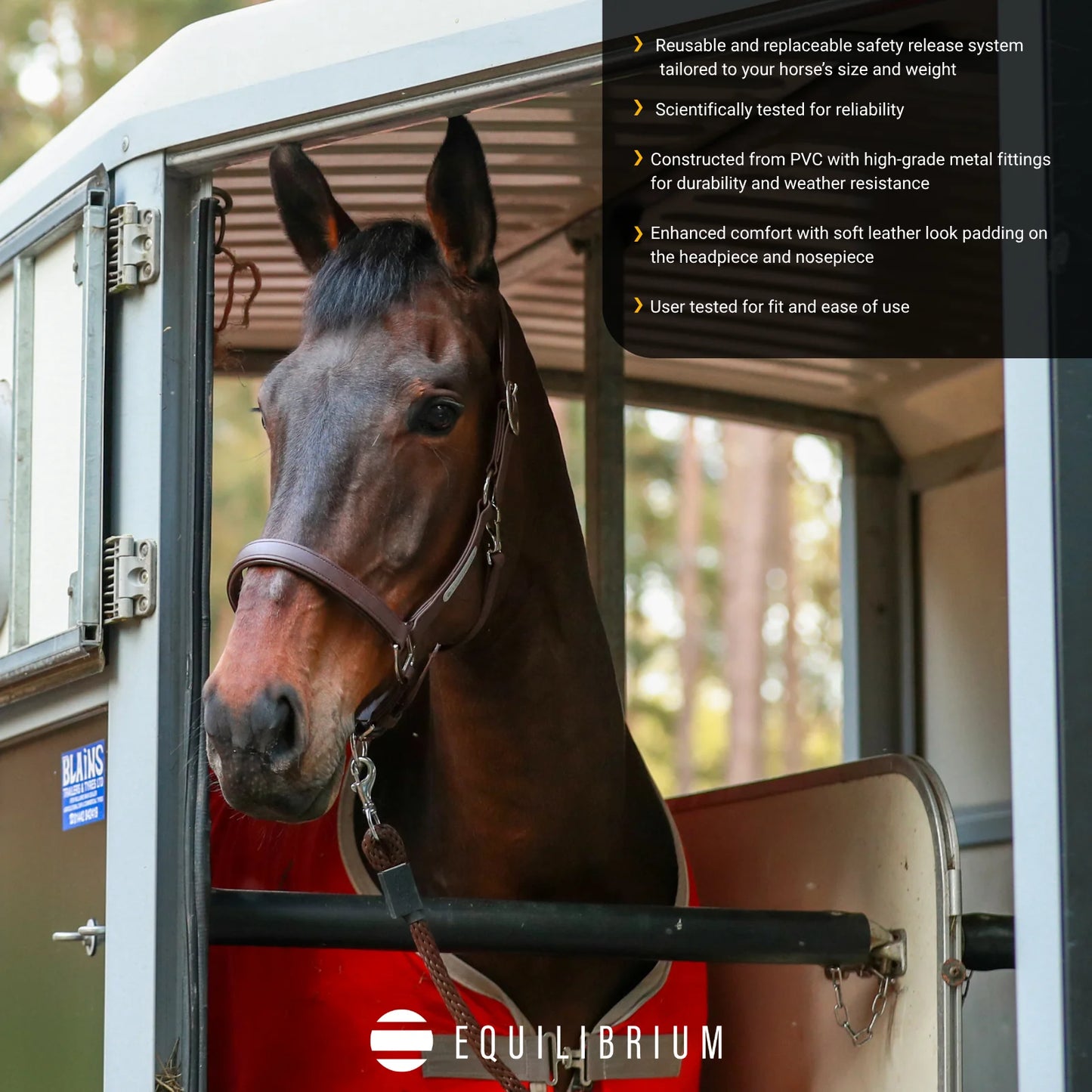 Stellar All Weather Headcollar, återanvändbar säkerhetsgrimma, flera färger