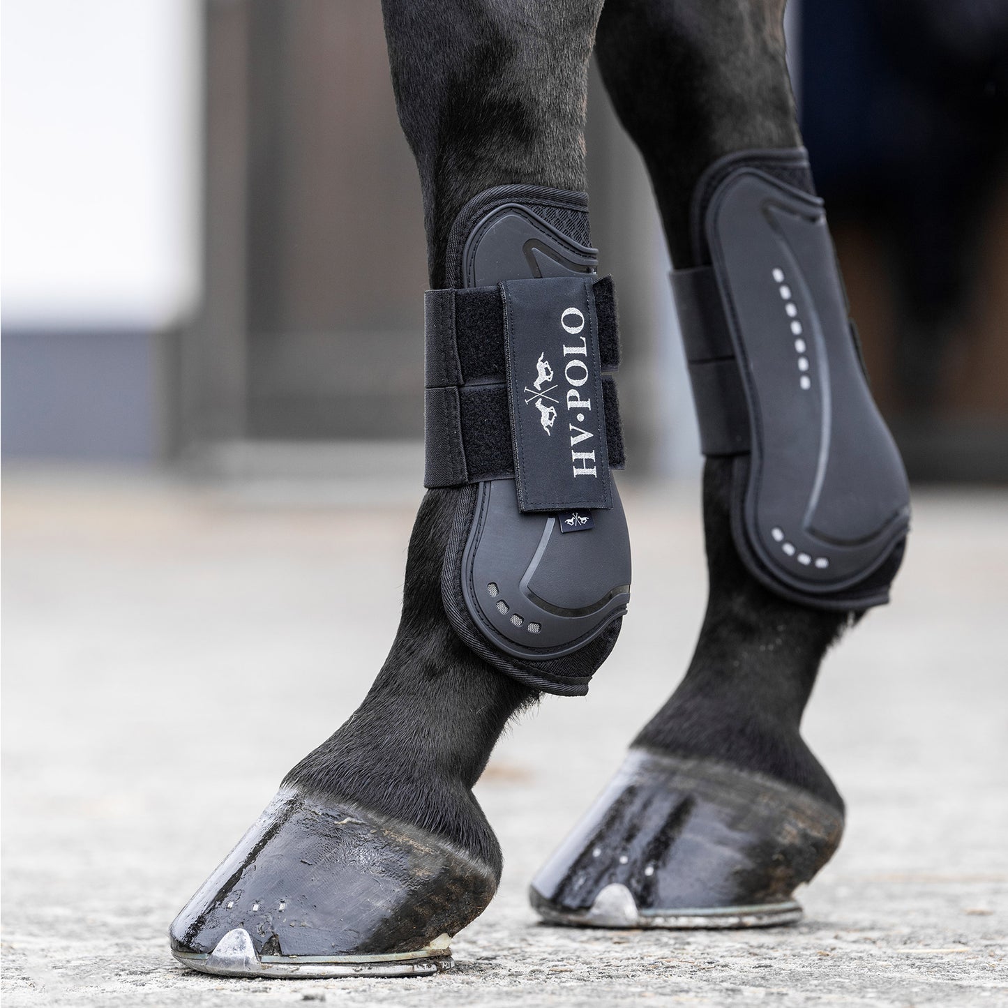 HV Polo Tendon and Fetlock Bootset Classic, set med benskydd