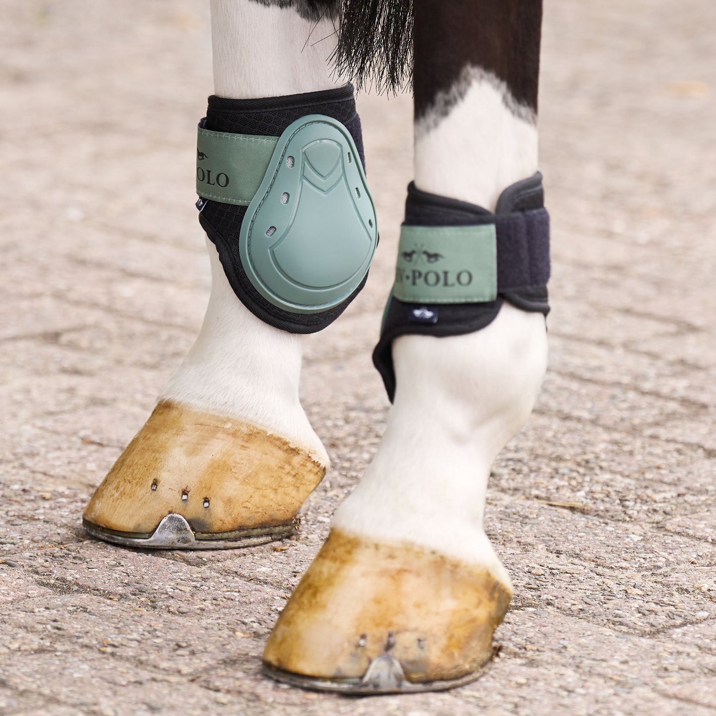 HV Polo Tendon and Fetlock Bootset Classic, set med benskydd