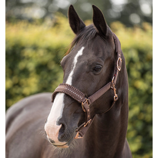 Imperial Riding Headcollar Lovely, dekorerad grimma i nylon