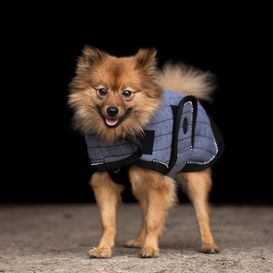 Dog coat Franka, varmt hundtäcke