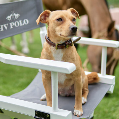 HV Polo Dog Collar Legacy, elegant hundhalsband i läder
