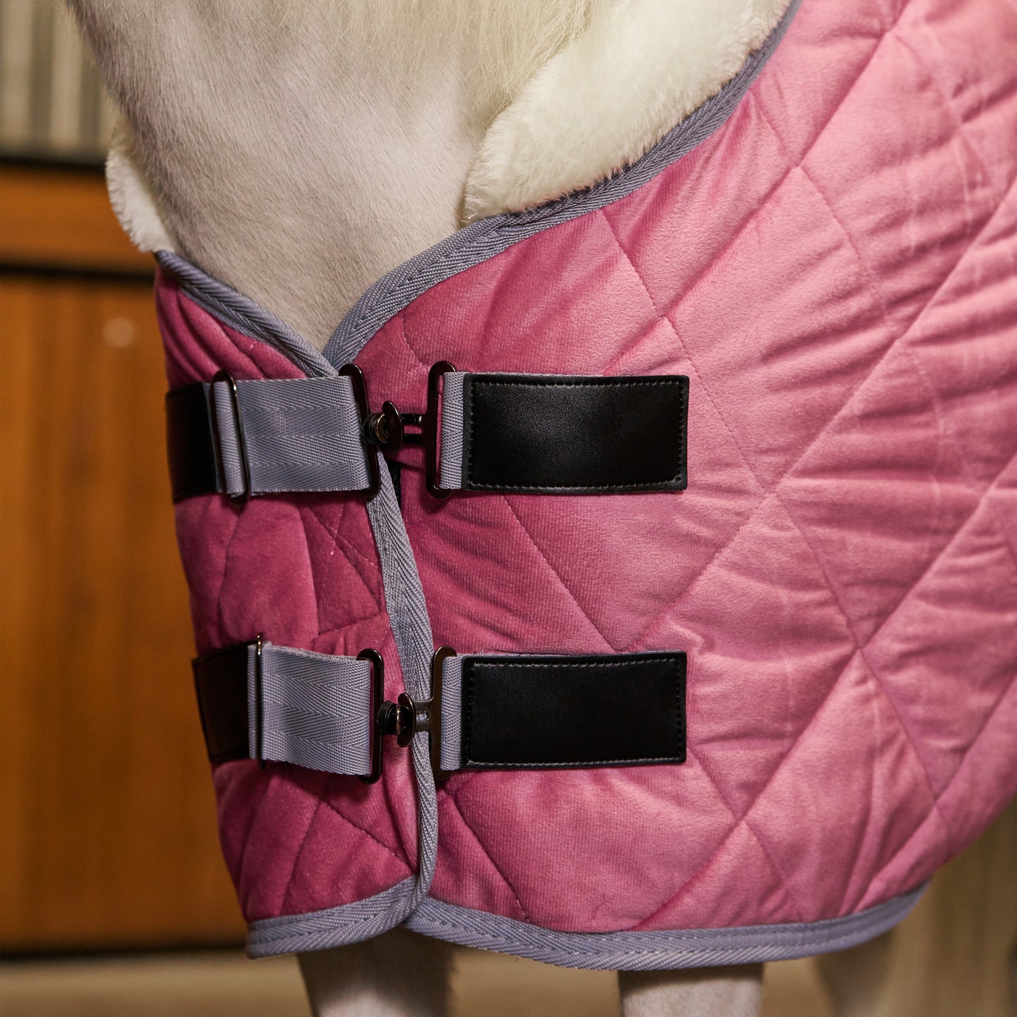 Stable blanket Sacha, stalltäcke till de minsta, flera färger