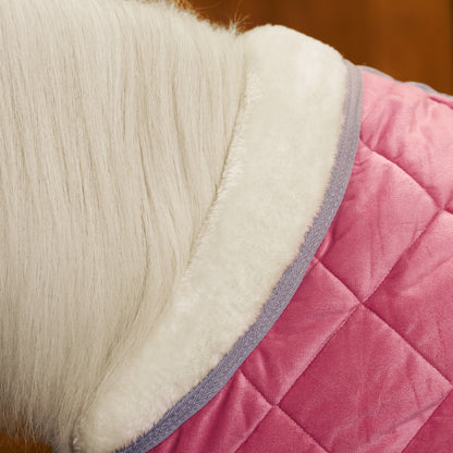 Stable blanket Sacha, stalltäcke till de minsta, flera färger