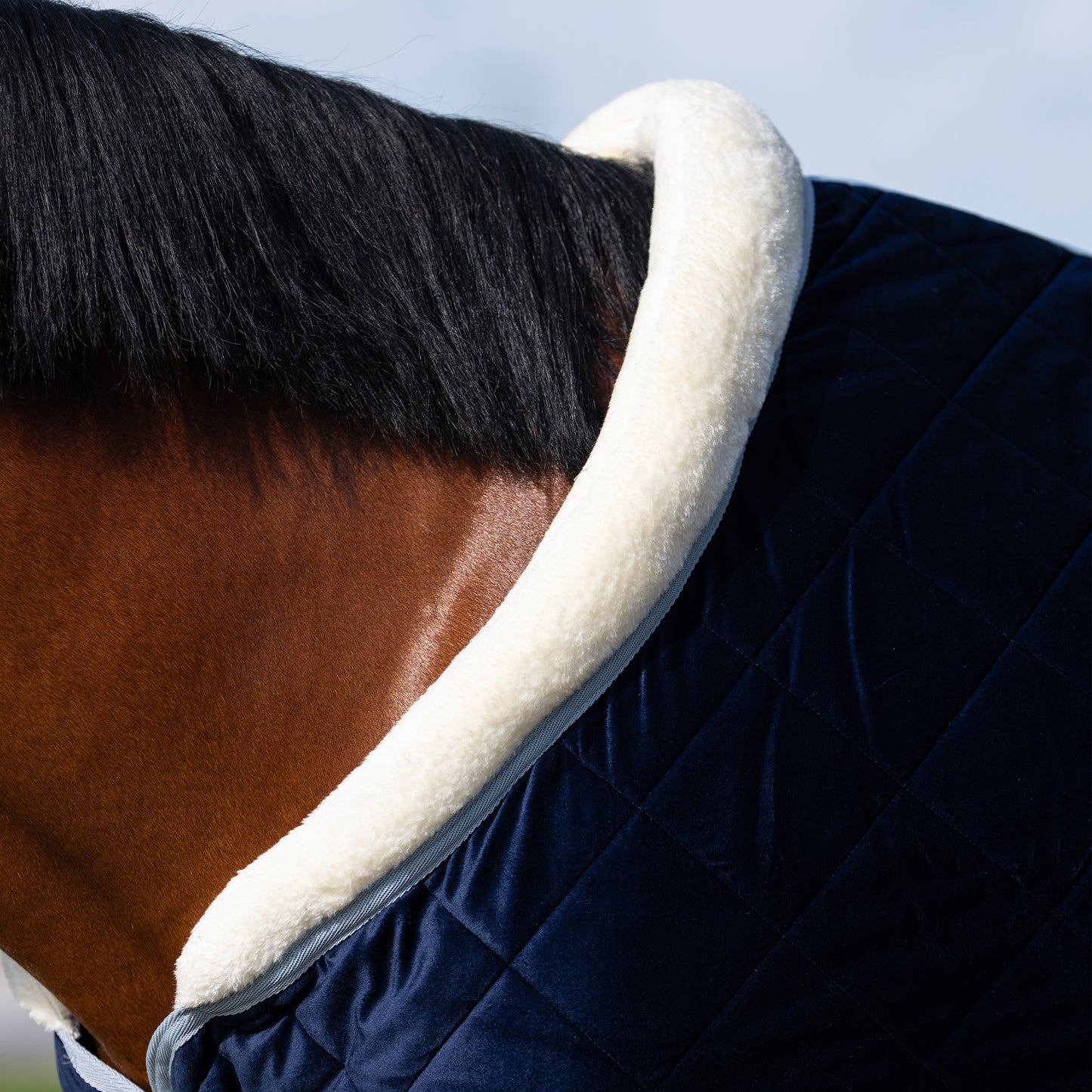 Stable blanket Sacha, stalltäcke till de minsta, flera färger