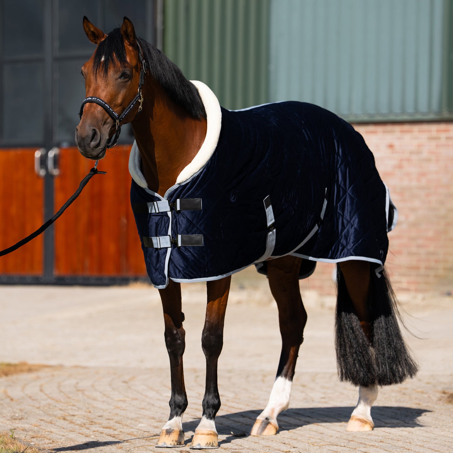 Stable blanket Sacha, stalltäcke till de minsta, flera färger