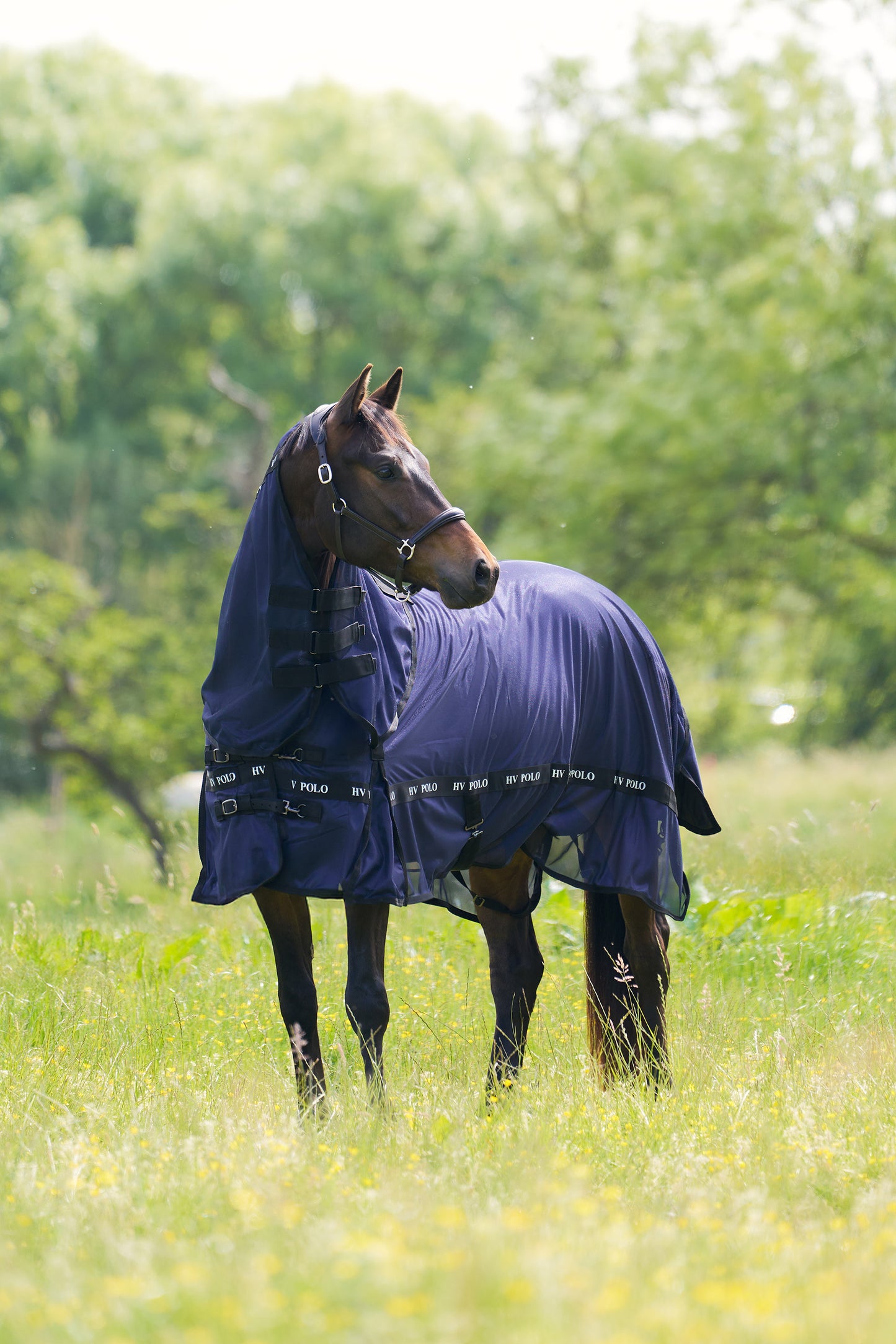 HV Polo Fly blanket Nena, flugtäcke i flera färger
