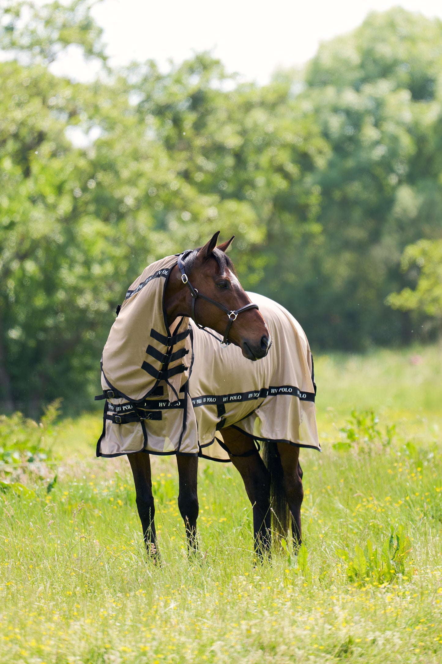 HV Polo Fly blanket Nena, flugtäcke i flera färger