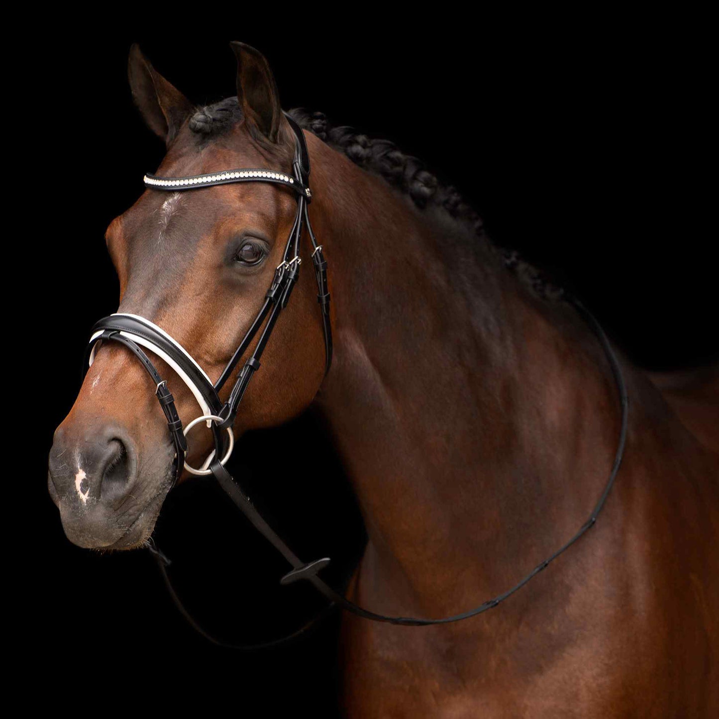 HV Polo Bridle Legacy deluxe, träns med strass