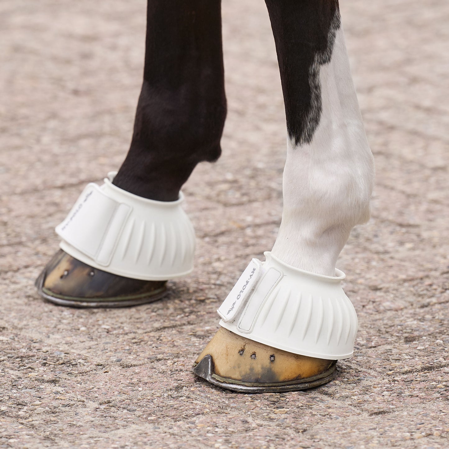 Bellboots Essential, klassiska boots för hagen, flera färger