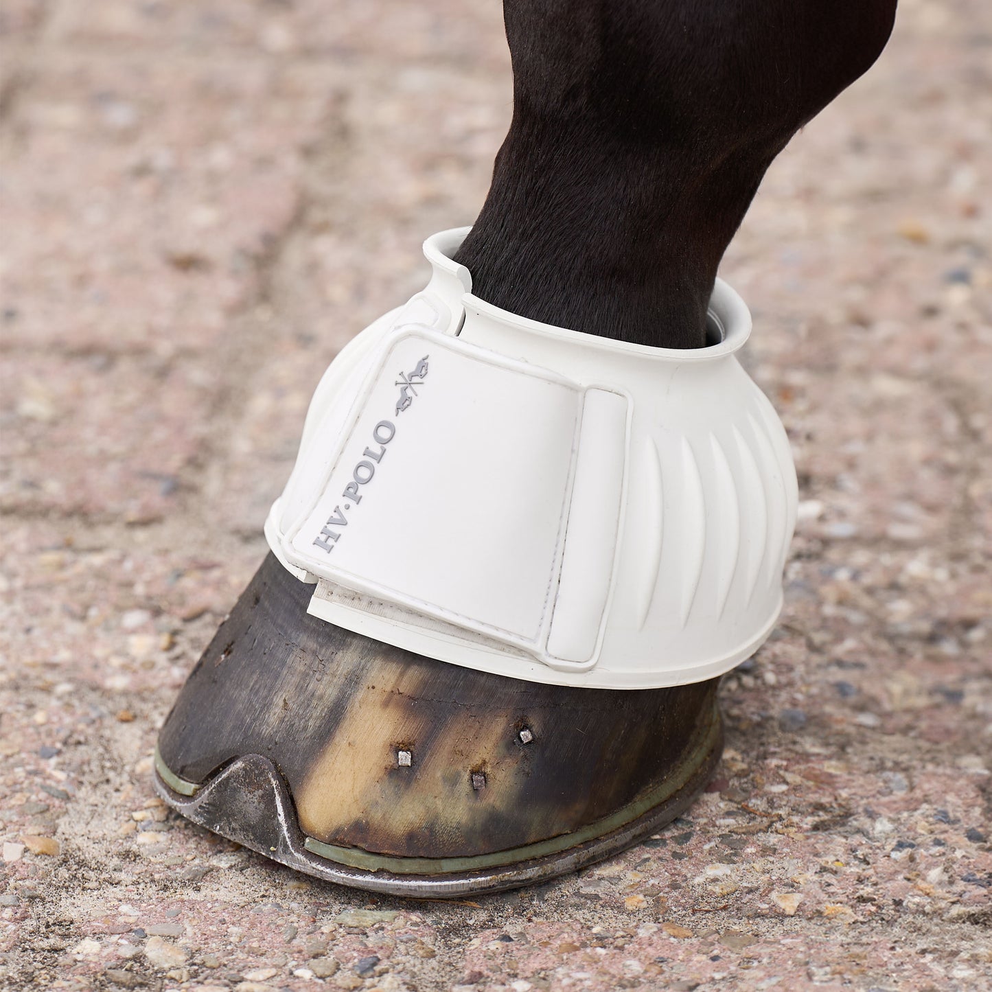 Bellboots Essential, klassiska boots för hagen, flera färger