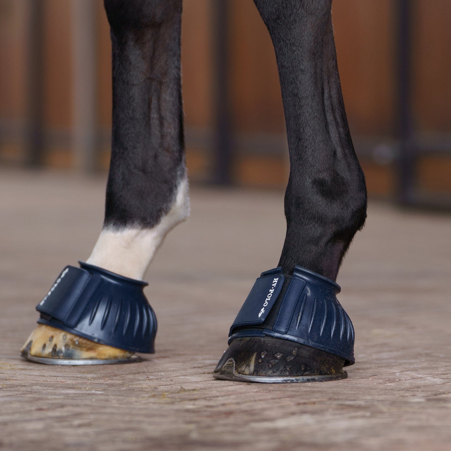 Bellboots Essential, klassiska boots för hagen, flera färger