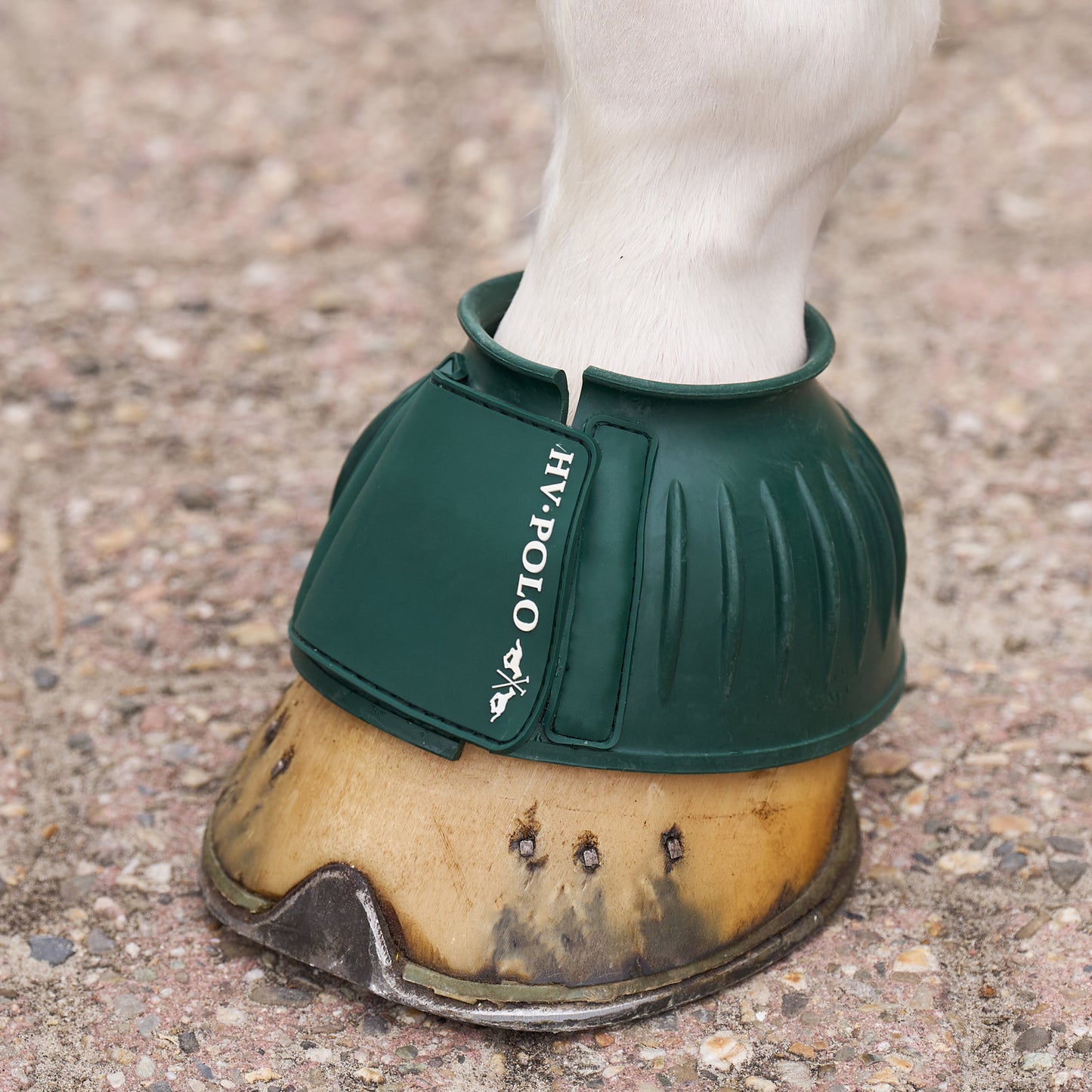 Bellboots Essential, klassiska boots för hagen, flera färger