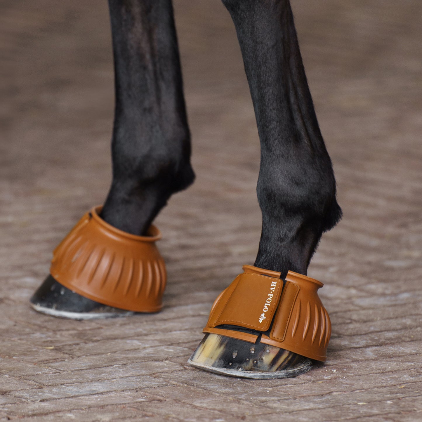 Bellboots Essential, klassiska boots för hagen, flera färger