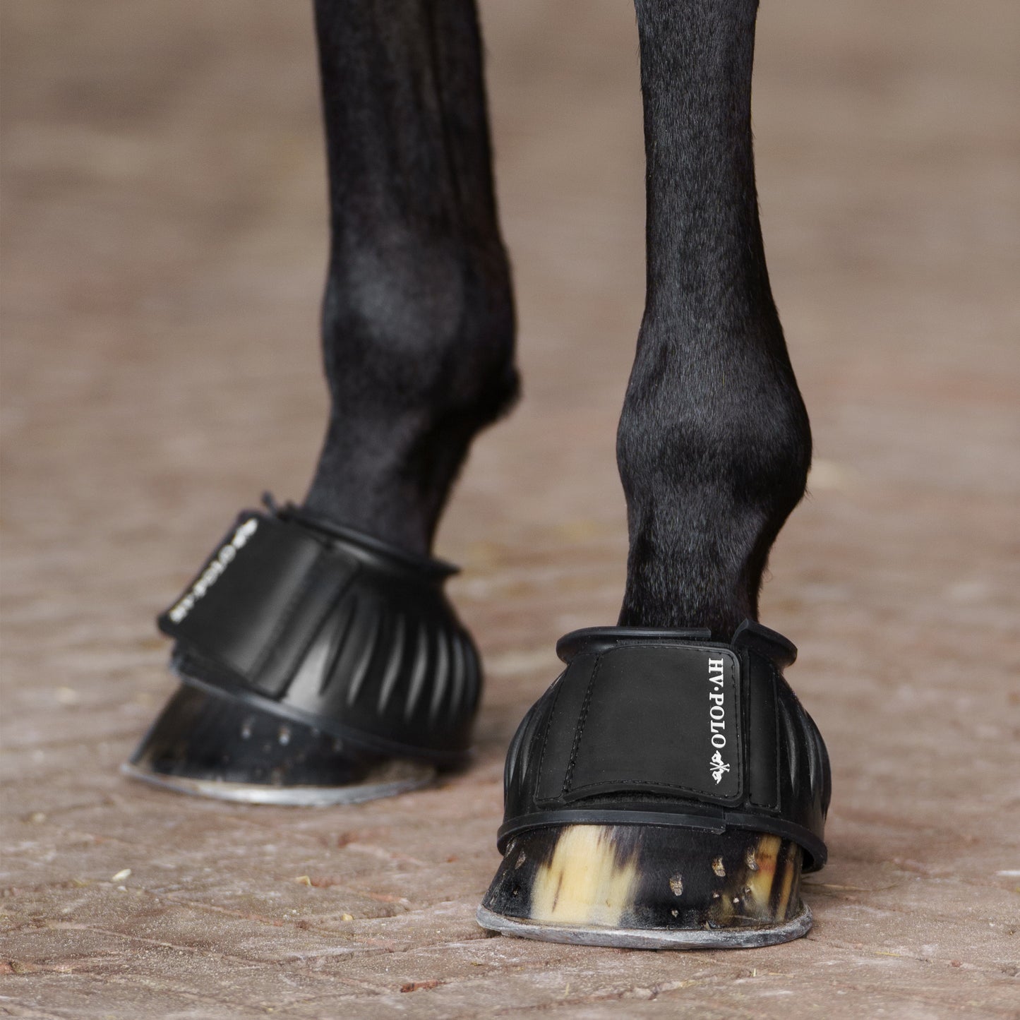 Bellboots Essential, klassiska boots för hagen, flera färger