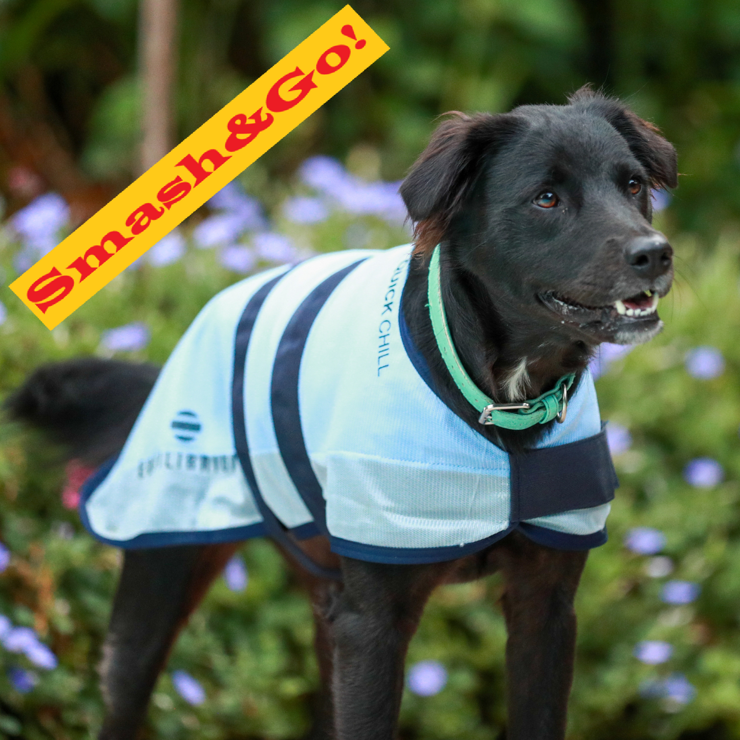 Smash&Go! Quick Chill Cooling Coat for Dogs, kyltäcke som svalkar din hund!
