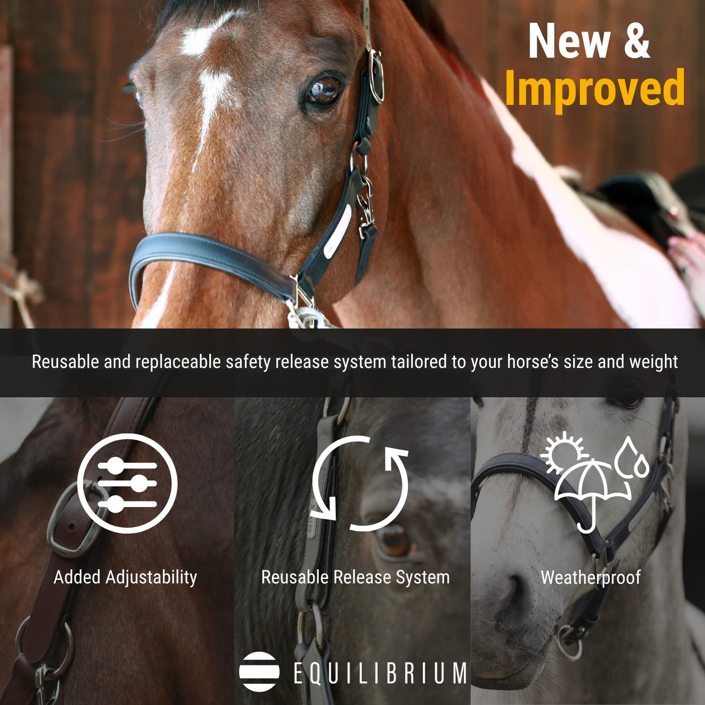 Stellar All Weather Headcollar, återanvändbar säkerhetsgrimma, flera färger