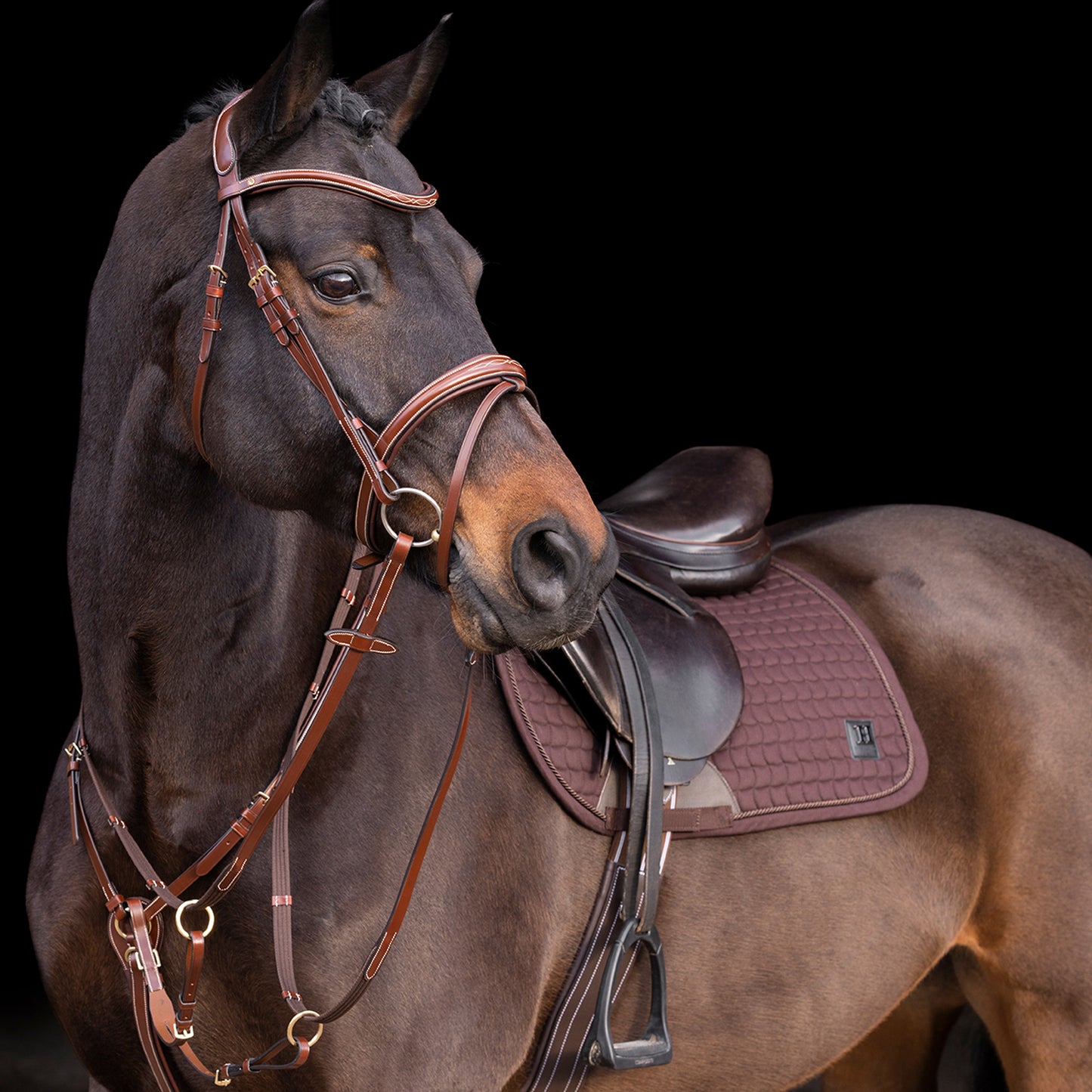 HV Polo Martingale Legacy, martingale i läder