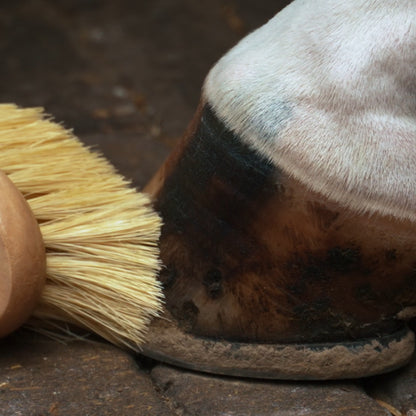 Imperial Riding Hoof brush Natural, miljövänlig hovborste utan syntetiska material