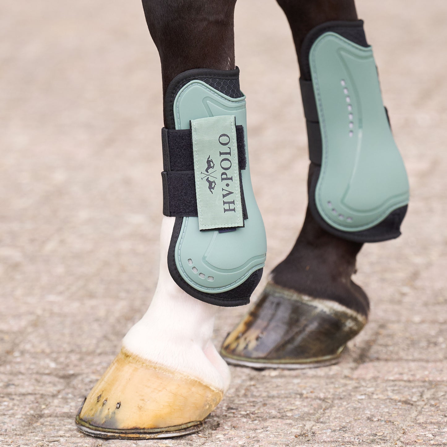 HV Polo Tendon and Fetlock Bootset Classic, set med benskydd