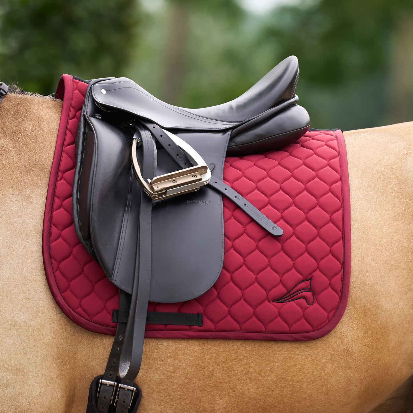 Euro-Star Saddlepad Coco, stilrent dressyrschabrak