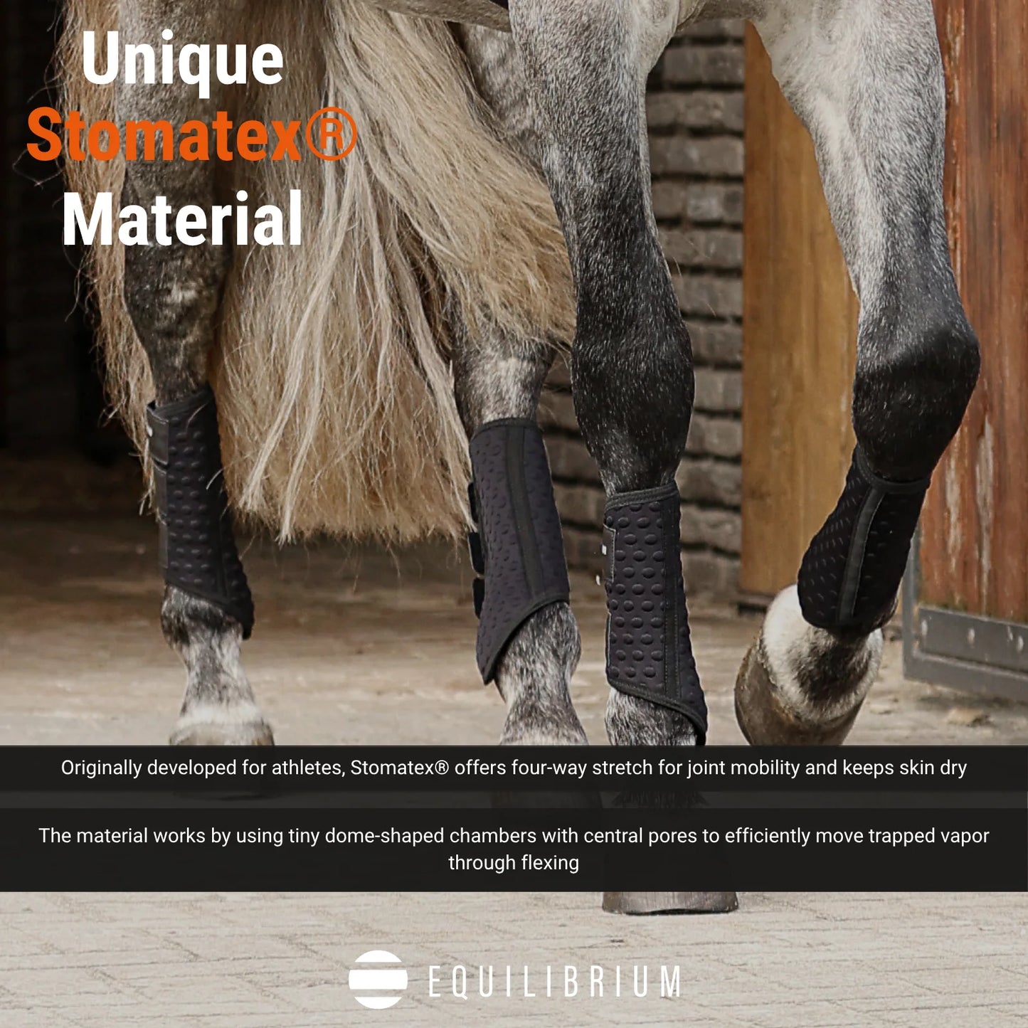 Stretch and Flex Flatwork Wraps, benskydd som reglerar temperaturen, flera färger